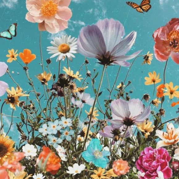 Meet your Posher, Juliana - Picture 1 of 1